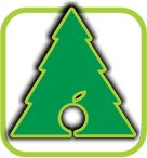 طراحی فضای سبز